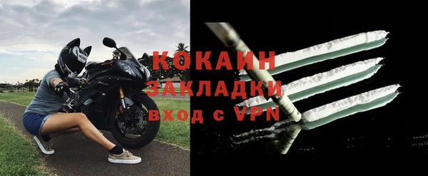 сатива Арсеньев