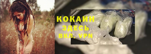 сатива Арсеньев