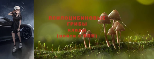 а пвп мука Армянск