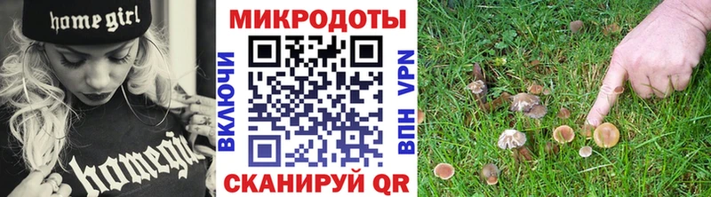 Галлюциногенные грибы прущие грибы  Унеча 